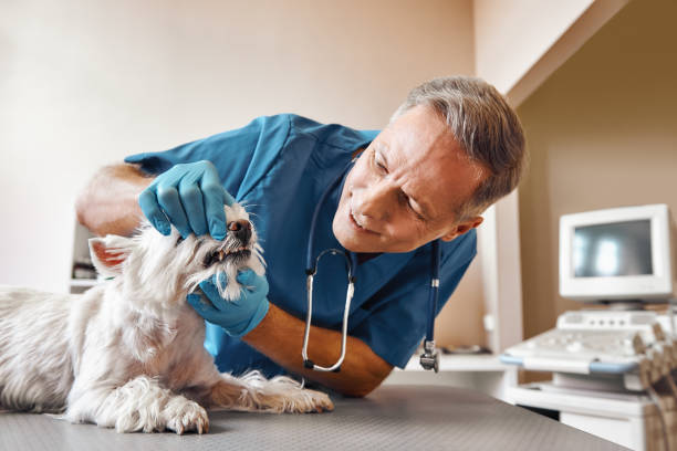Best Emergency Tooth Extraction in Viera East, FL